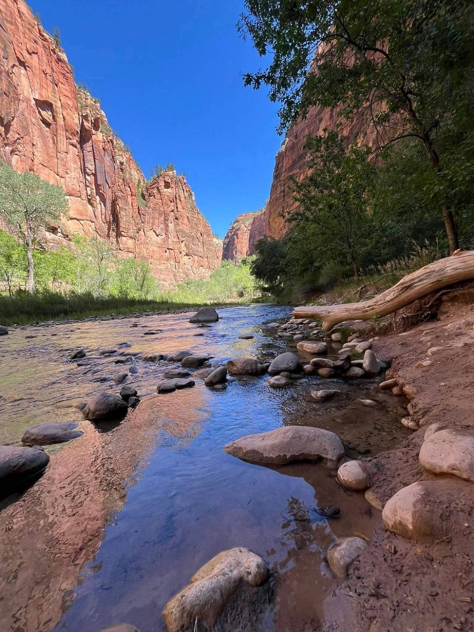 Zion National Park