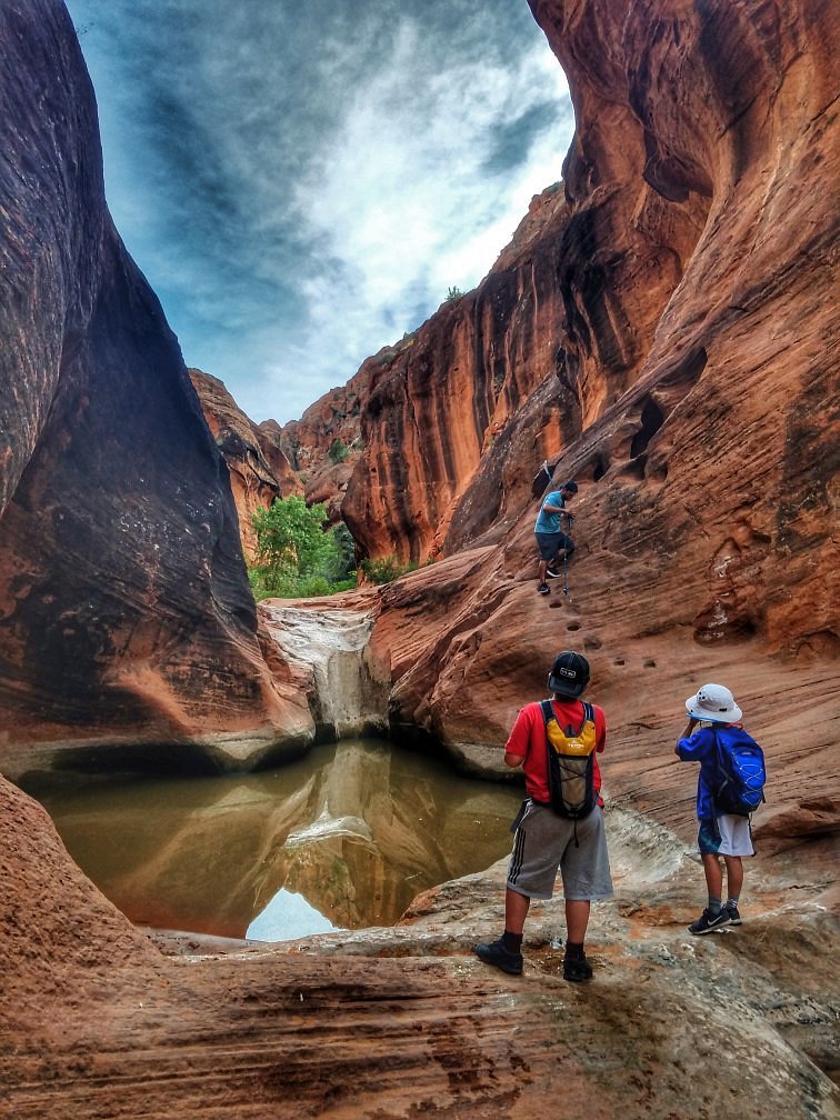 Red Cliffs Desert Reserve
