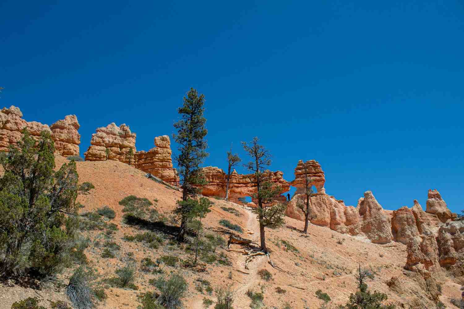 Pioneer Park & Dixie Rock