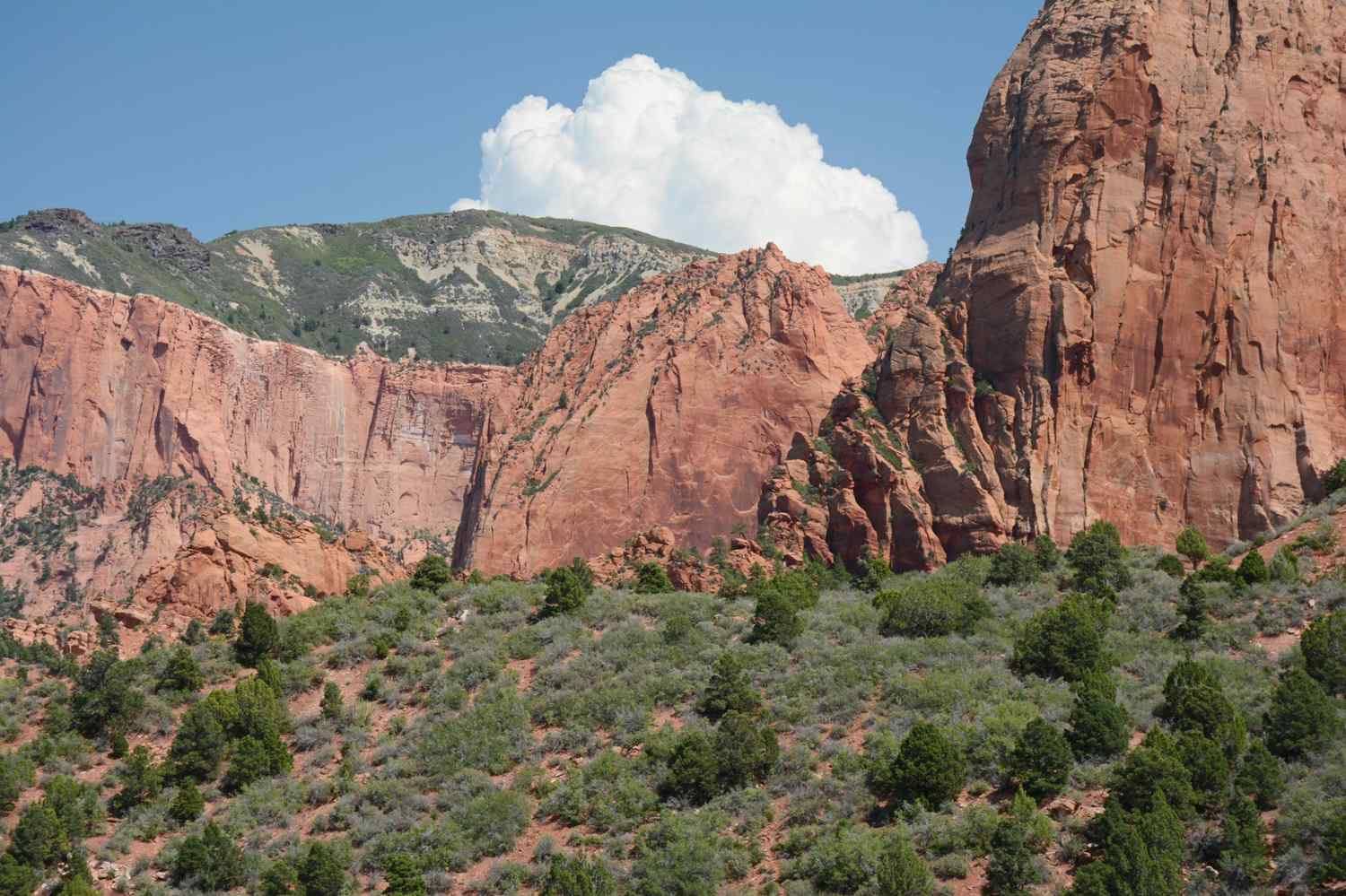Why Hiring a Property Manager in Hurricane, Utah Increases Your Profits